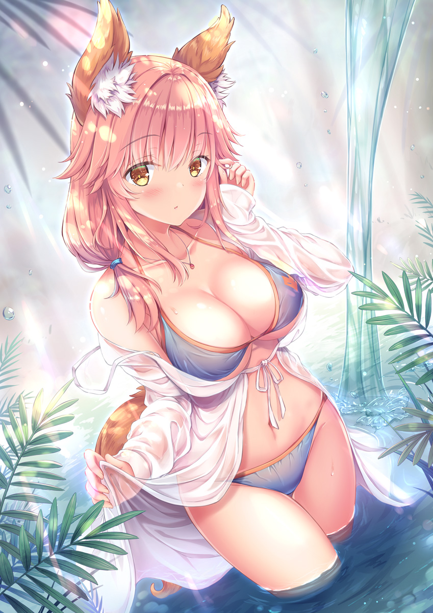 tamamo and tamamo no mae (fate and 1 more) drawn by shirakawako