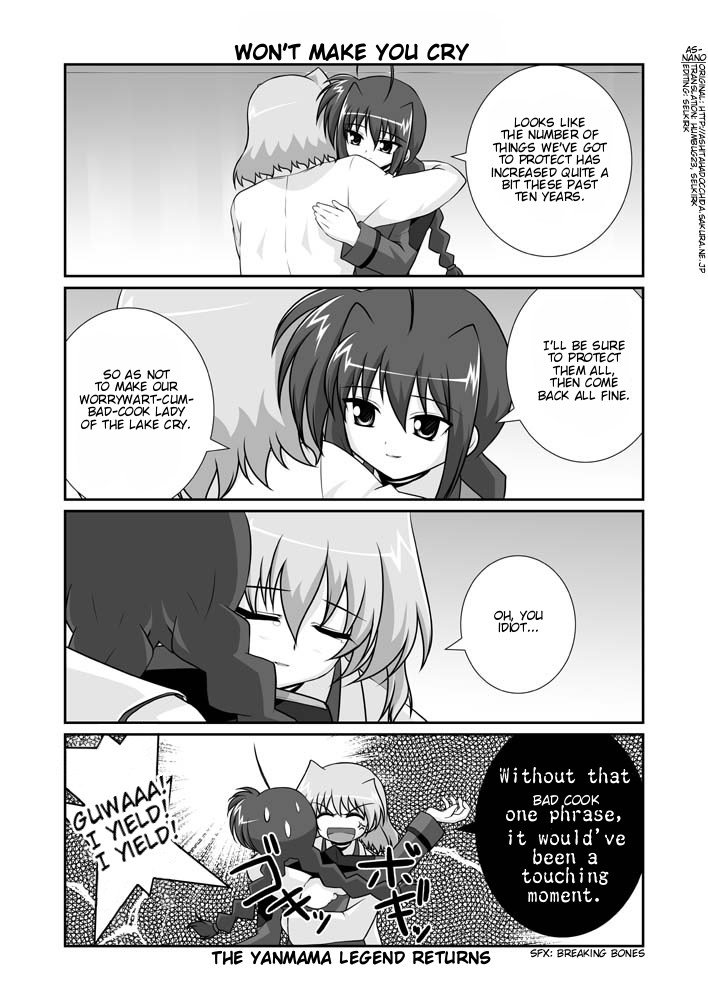 vita and shamal (lyrical nanoha and 1 more) drawn by mikage_takashi