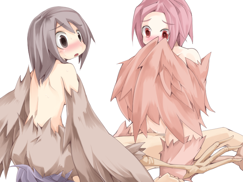 luka, pina, and pii (mon-musu quest!) drawn by frfr