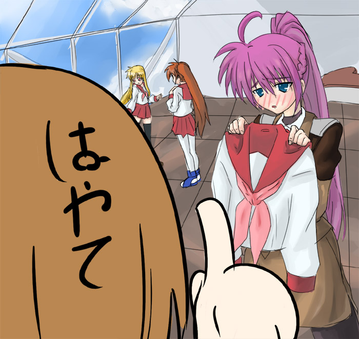 fate testarossa, takamachi nanoha, yagami hayate, and signum (lyrical nanoha and 1 more) drawn by shibuya_susano