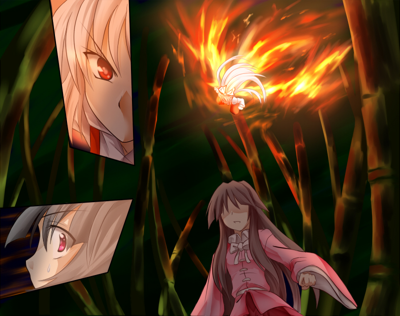 fujiwara no mokou and houraisan kaguya (touhou) drawn by chaigidhiell