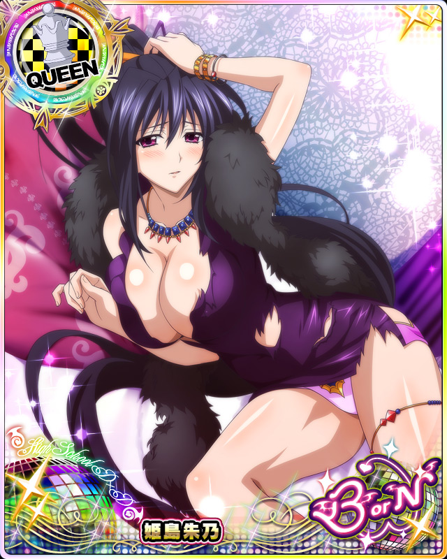 himejima akeno (high school dxd and 1 more)