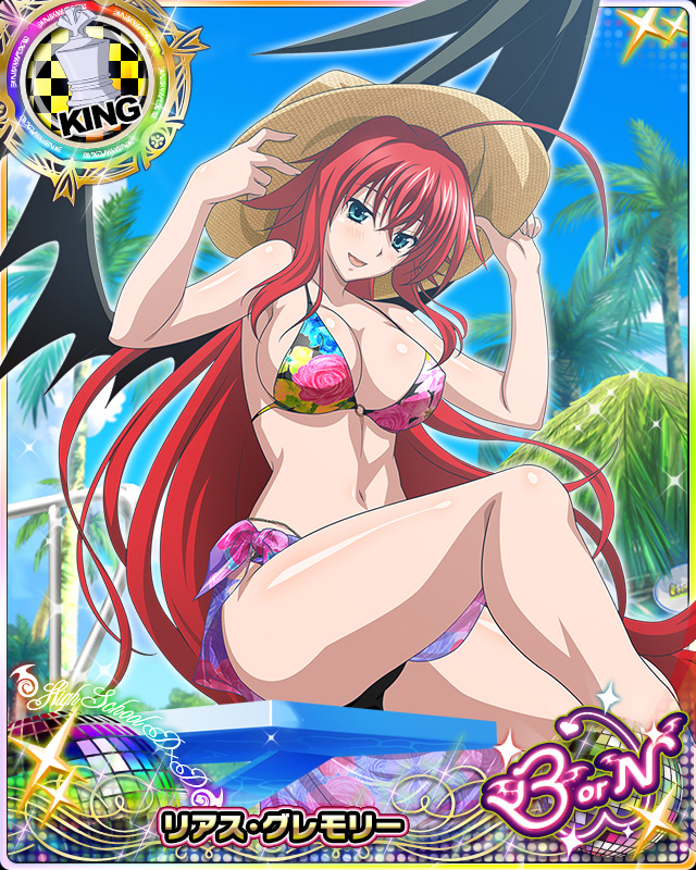 rias gremory (high school dxd and 1 more)