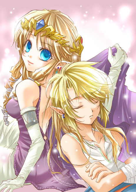 link and princess zelda (the legend of zelda and 1 more)