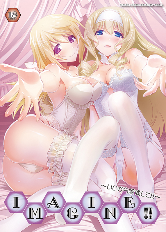charlotte dunois and cecilia alcott (infinite stratos) drawn by akutagawa_manbou