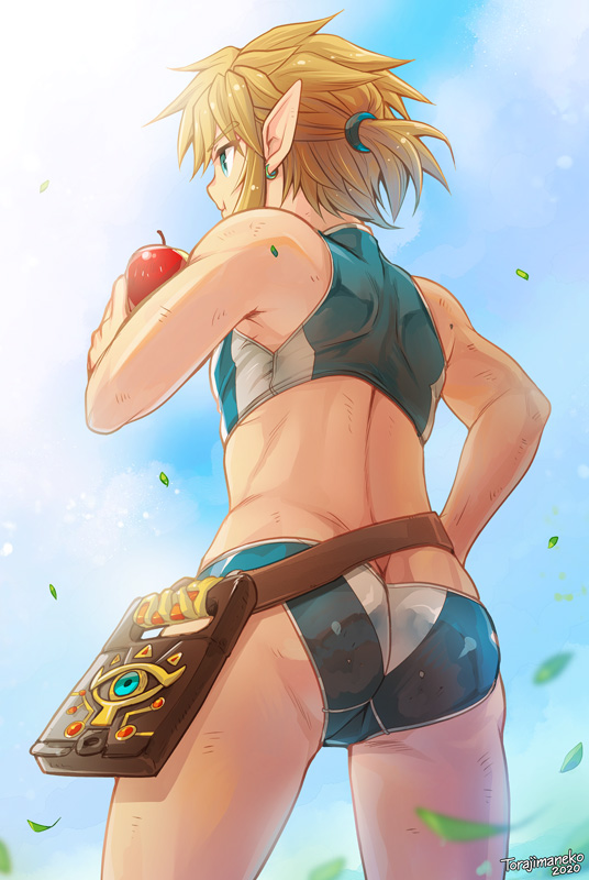 link (the legend of zelda and 1 more) drawn by torajimaneko
