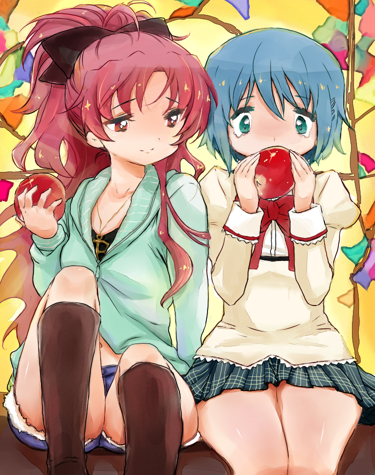 miki sayaka and sakura kyoko (mahou shoujo madoka magica) drawn by hosimeyu