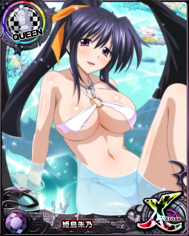himejima akeno (high school dxd and 1 more)