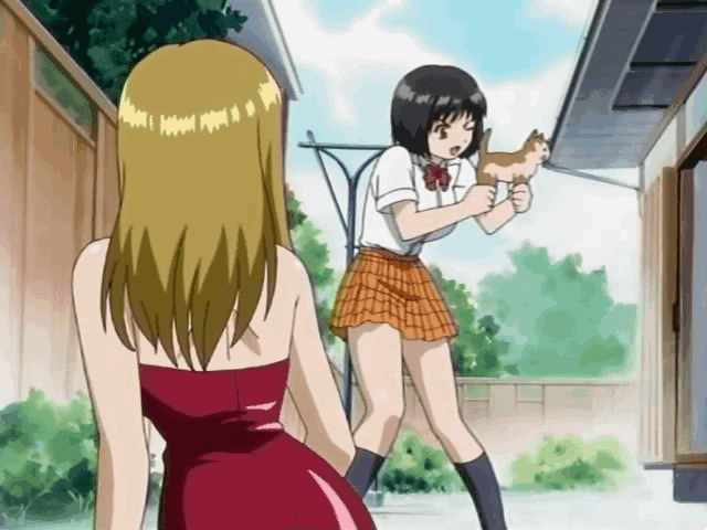onohara asami and mizunosaki sakura (oku-sama wa joshi kousei)