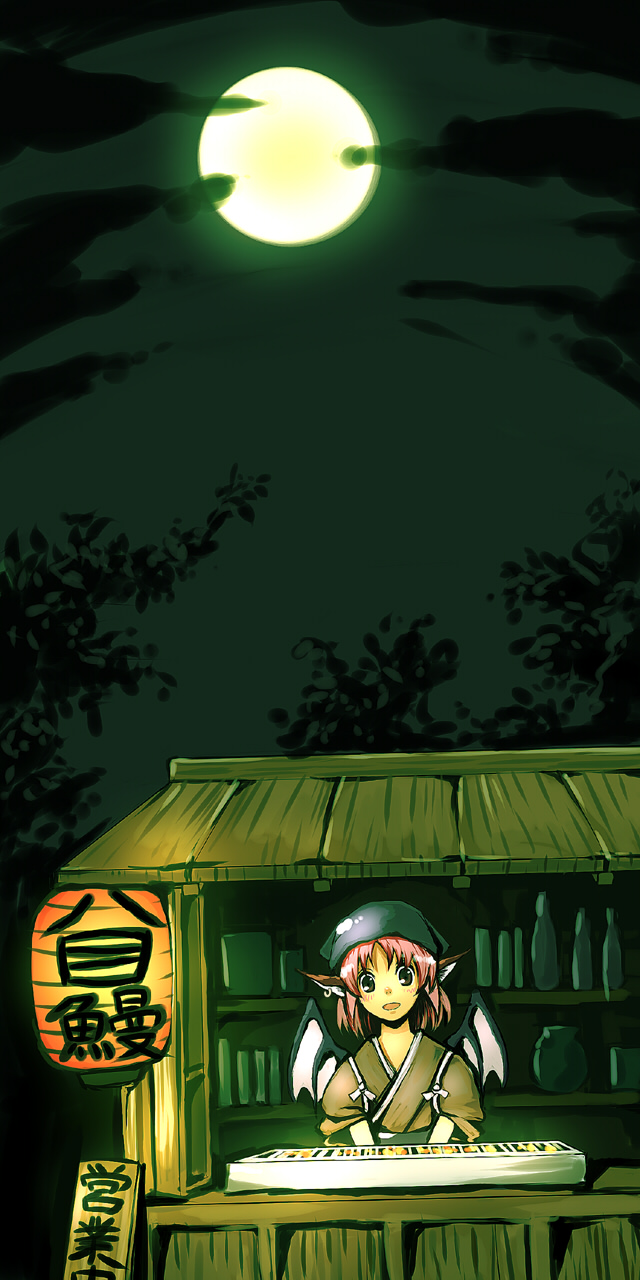 mystia lorelei and okamisty (touhou) drawn by arioto