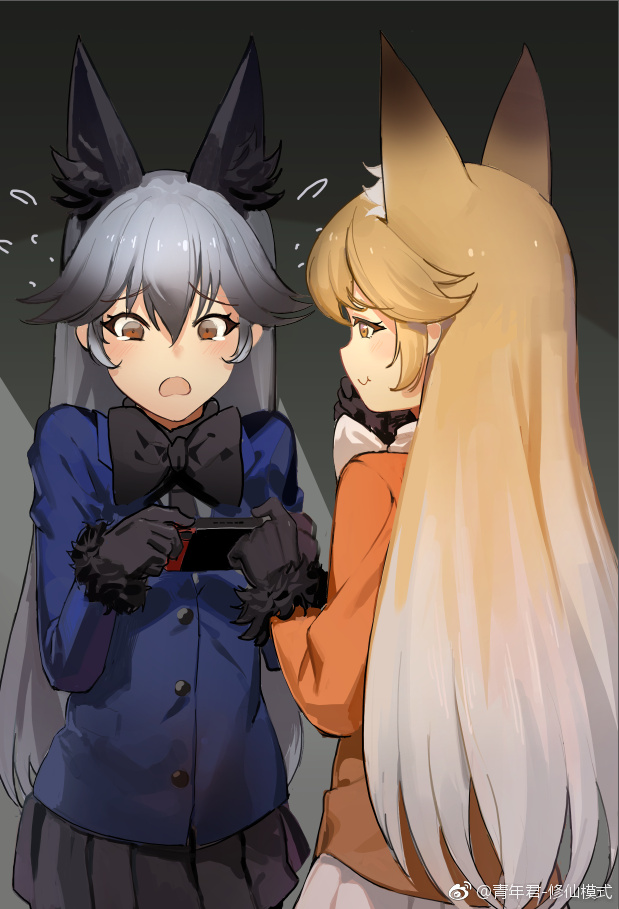 silver fox and ezo red fox (kemono friends) drawn by seinen