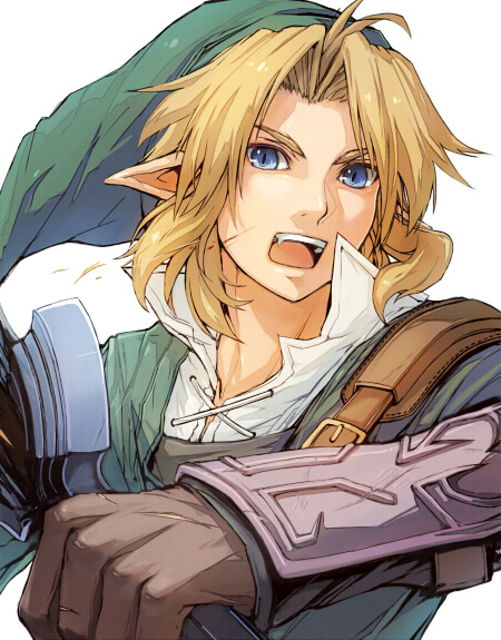 link (the legend of zelda and 1 more) drawn by inukichi