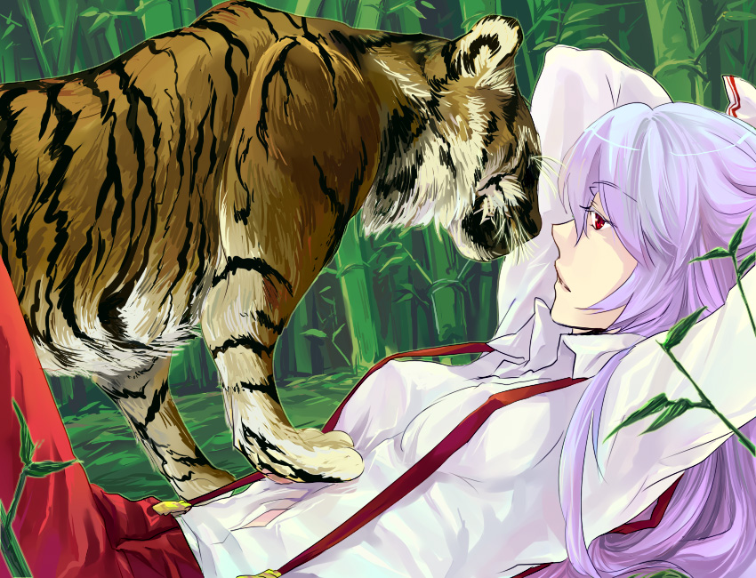 fujiwara no mokou (touhou) drawn by akaya_(rednight_dd)