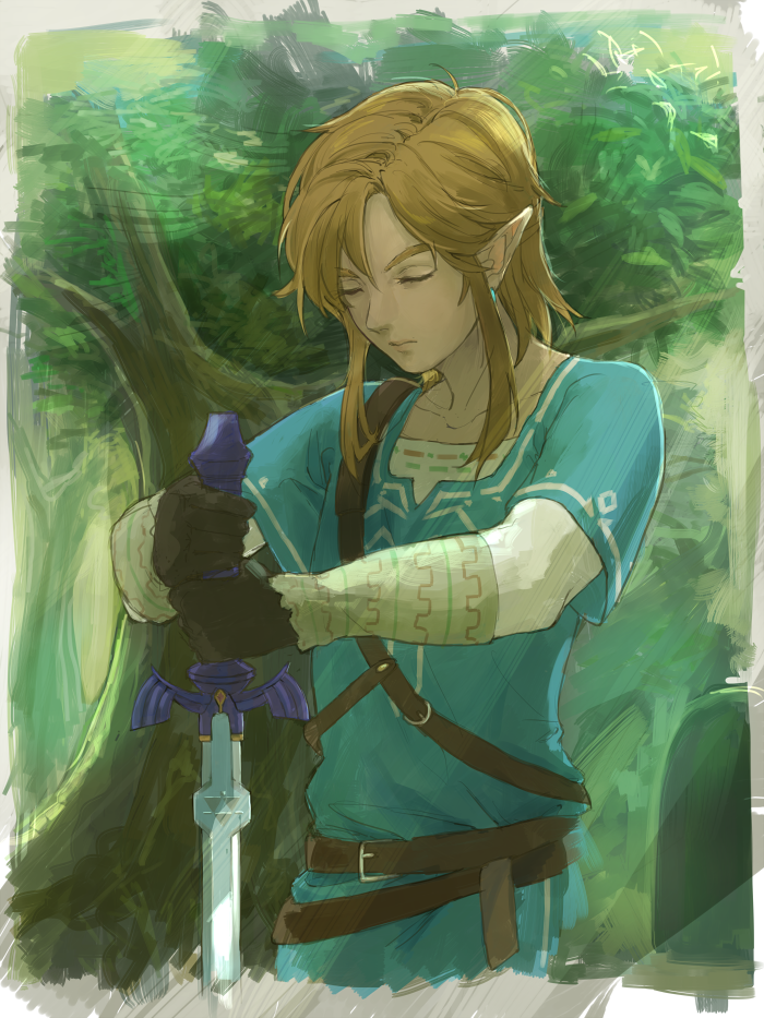 link (the legend of zelda and 1 more) drawn by toroyuri
