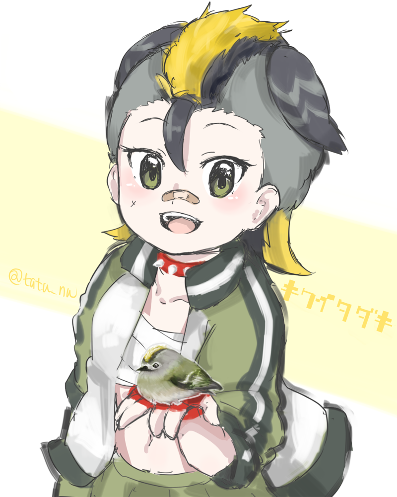 goldcrest (kemono friends) drawn by tatsuno_newo