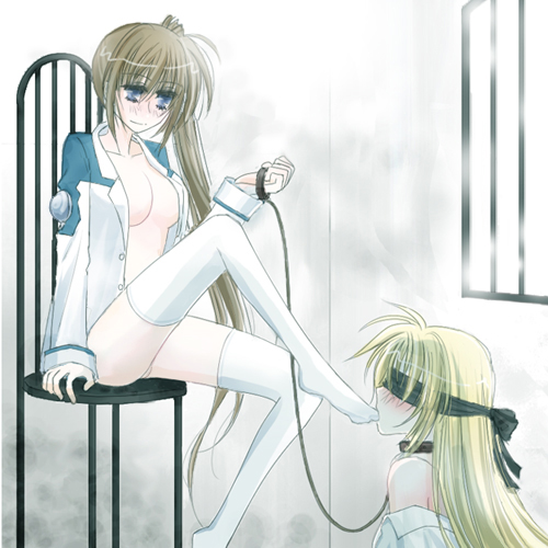 fate testarossa and takamachi nanoha (lyrical nanoha and 1 more) drawn by hachikei