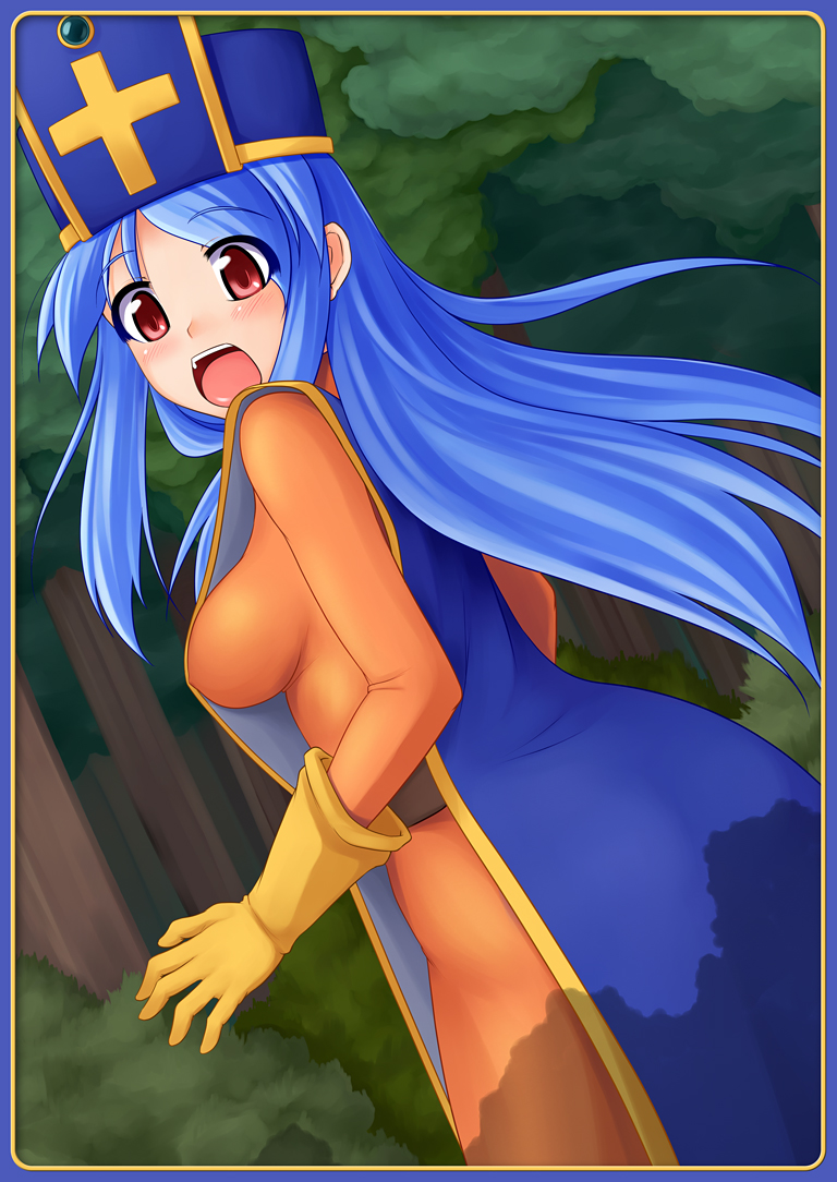 priest (dragon quest and 1 more) drawn by nekomanma_(byougatei)