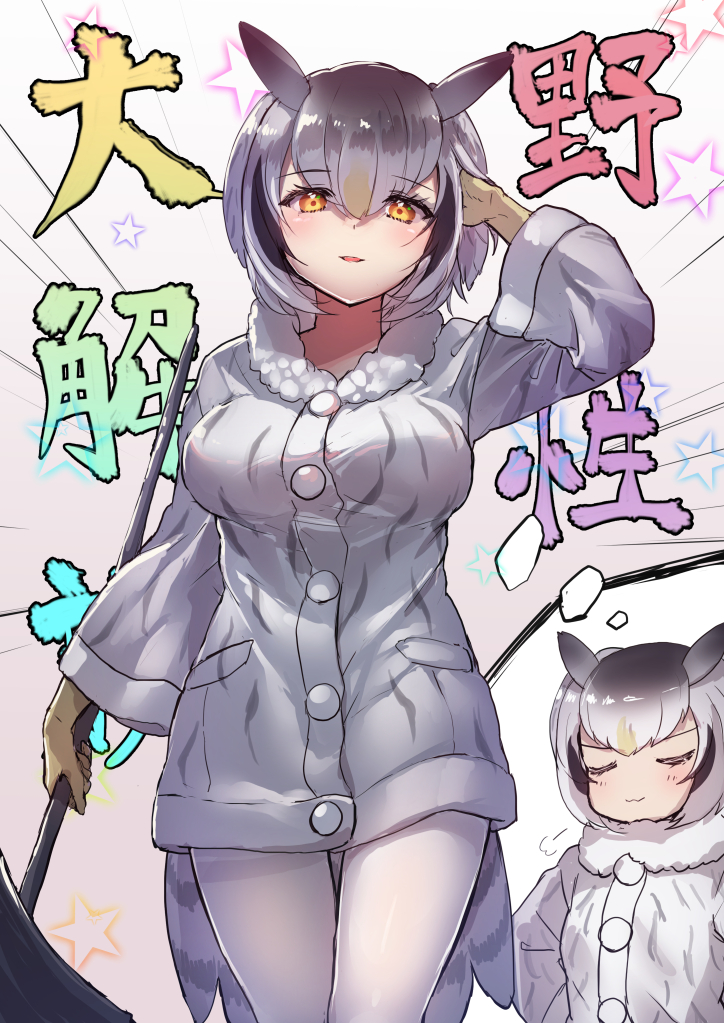 northern white-faced owl (kemono friends) drawn by tadano_magu
