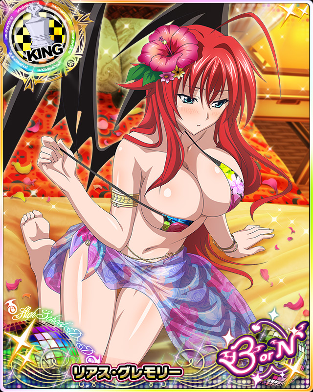 rias gremory (high school dxd and 1 more)