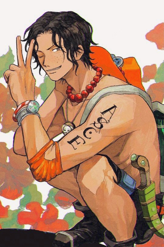 portgas d. ace (one piece) drawn by yashi_vv