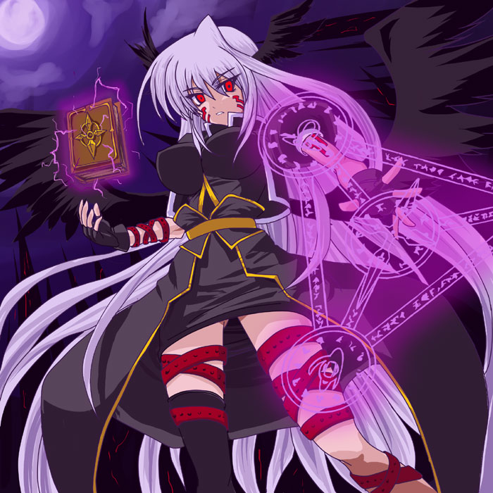 reinforce and tome of the night sky (lyrical nanoha and 2 more) drawn by mumi_(muminchu)