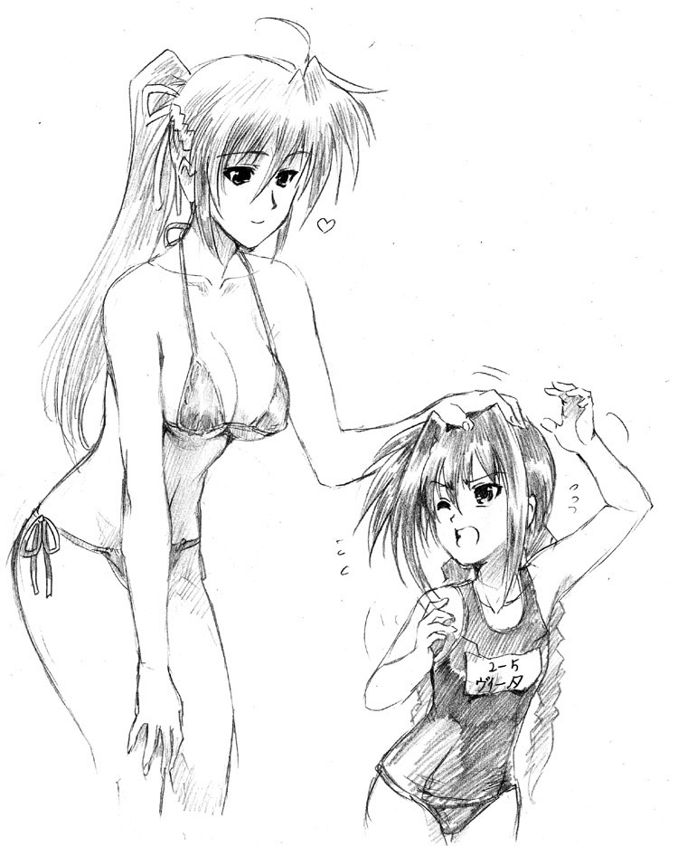 vita and signum (lyrical nanoha and 2 more) drawn by henshako