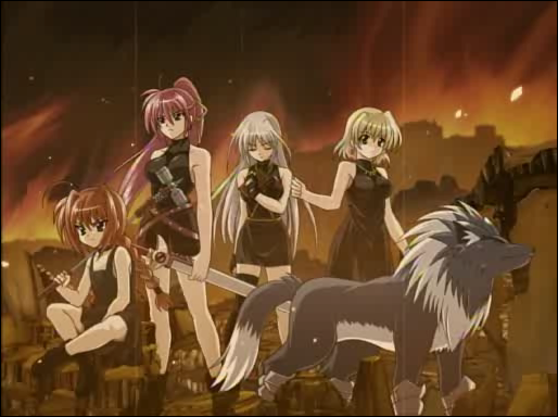 vita, signum, reinforce, shamal, graf eisen, and 2 more (lyrical nanoha and 3 more)