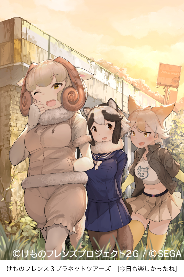 coyote, tanuki, and sheep (kemono friends and 2 more) drawn by koruse
