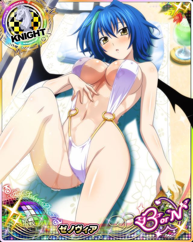 xenovia quarta (high school dxd and 1 more)