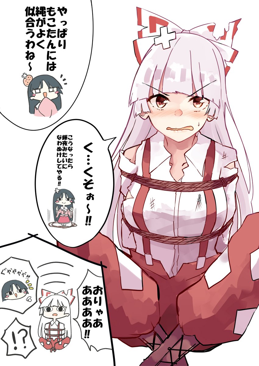 fujiwara no mokou and houraisan kaguya (touhou) drawn by deetamu