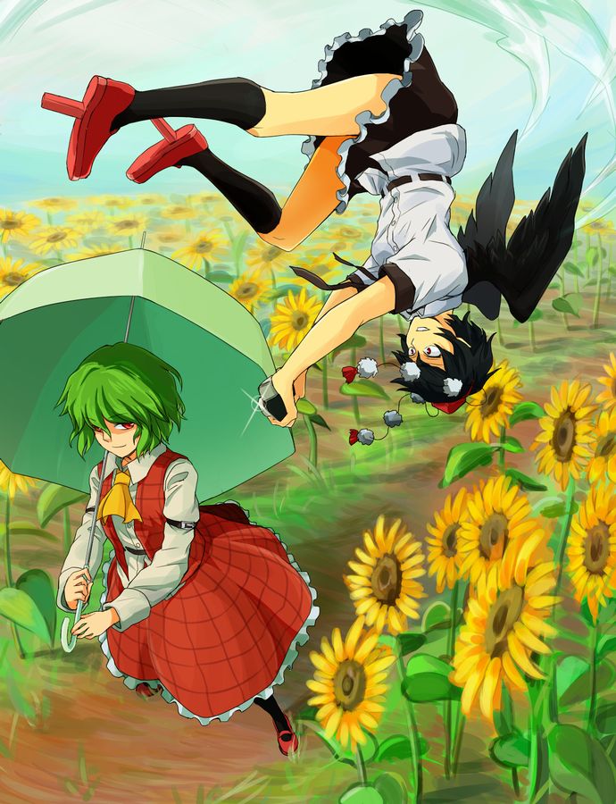 shameimaru aya and kazami yuuka (touhou) drawn by retora