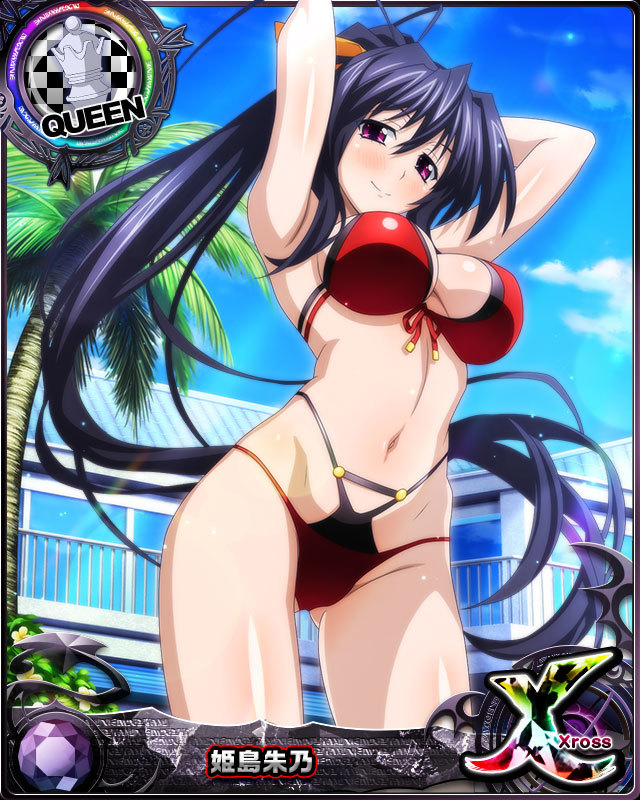 himejima akeno (high school dxd and 1 more)