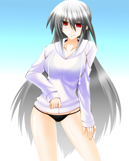 reinforce (lyrical nanoha and 2 more) drawn by engo_(aquawatery)