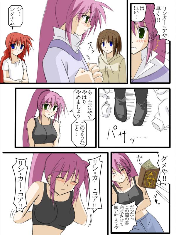 yagami hayate, vita, and signum (lyrical nanoha and 2 more)
