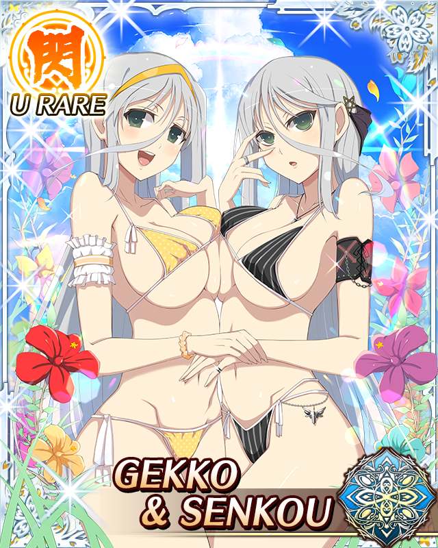 senkou and gekkou (senran kagura and 1 more)