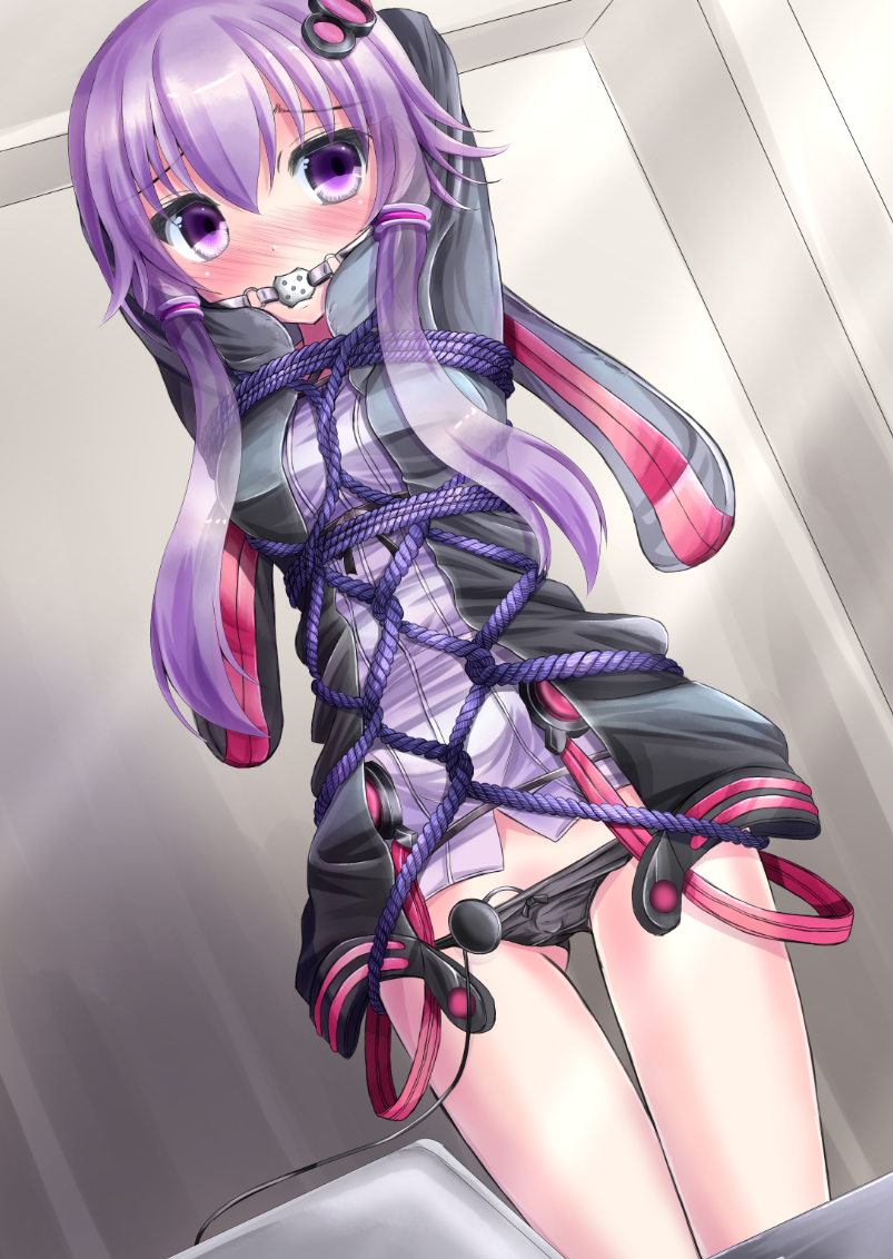 yuzuki yukari (vocaloid and 1 more) drawn by konpotsu