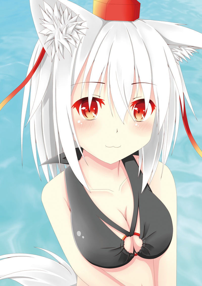 inubashiri momiji (touhou) drawn by hino_(kagami)