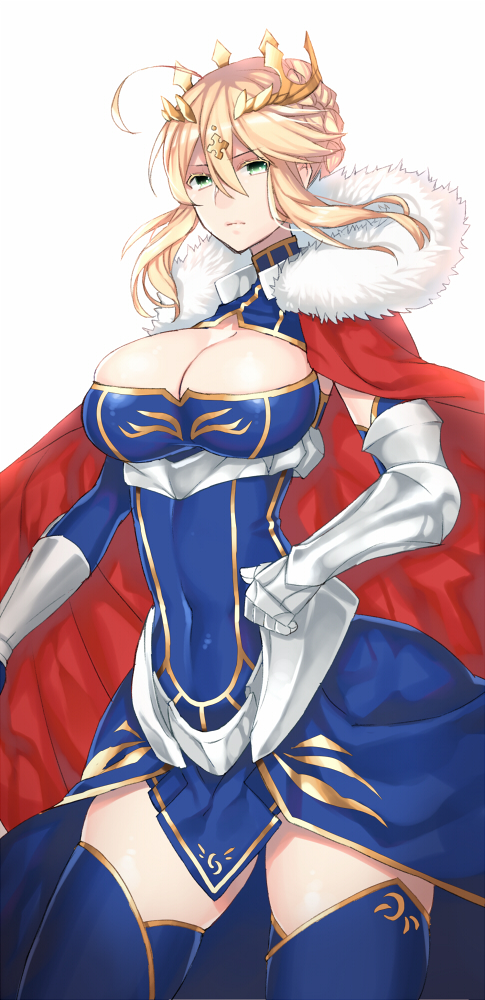 artoria pendragon and lion king (fate and 1 more) drawn by anoshabu