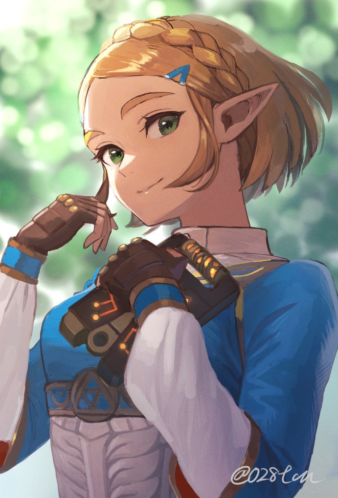 princess zelda (the legend of zelda and 1 more) drawn by otton