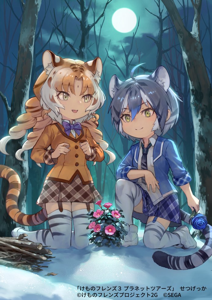 maltese tiger and golden tabby tiger (kemono friends and 2 more) drawn by nishiki_areku
