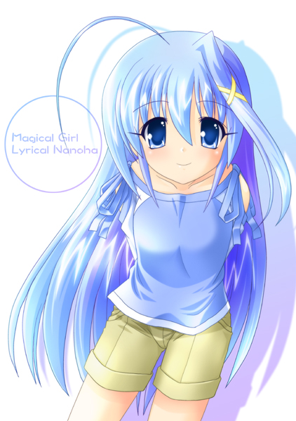 reinforce zwei (lyrical nanoha and 1 more) drawn by sumeragi_kou
