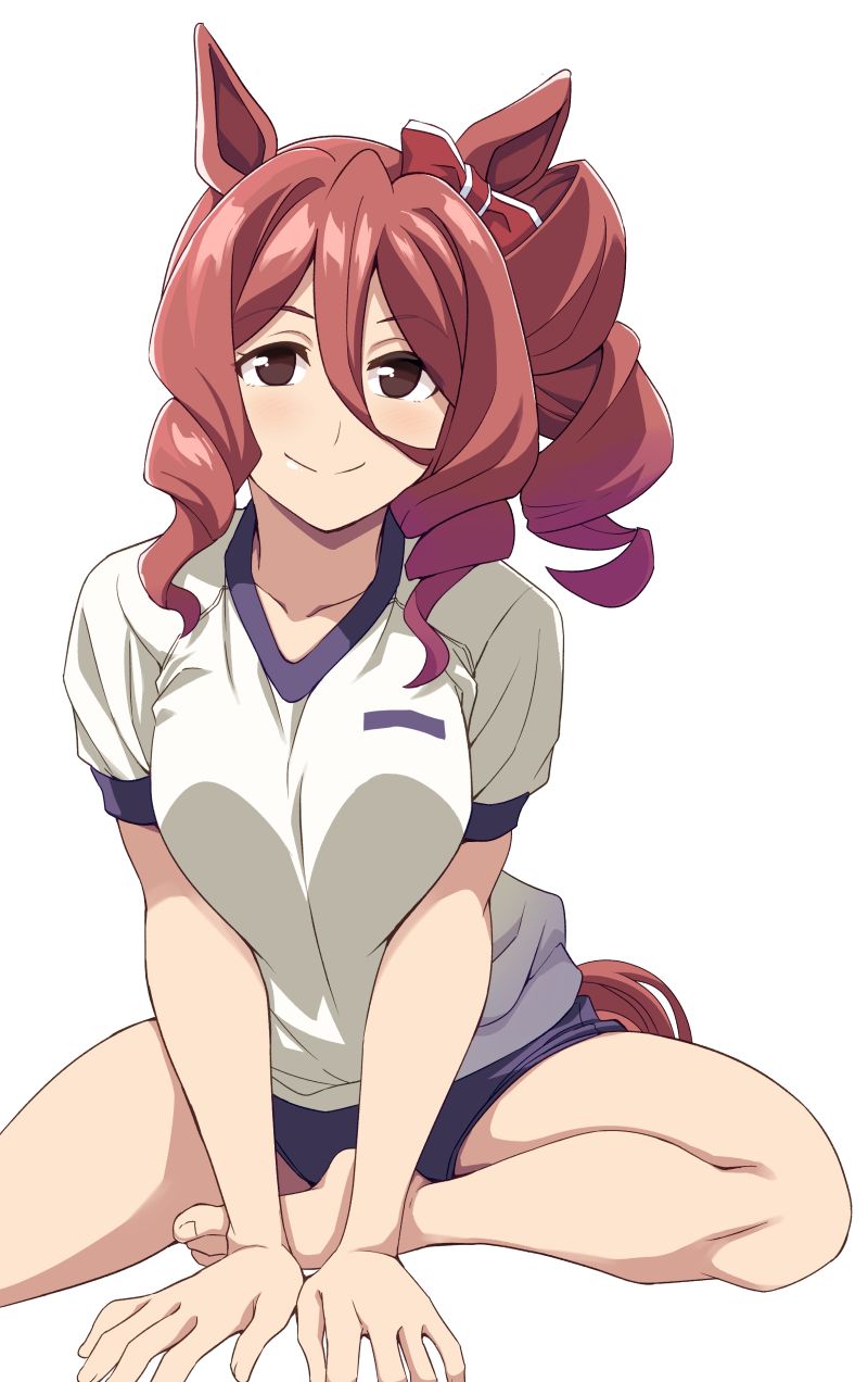 norn ace (umamusume and 1 more) drawn by ponzu_rui