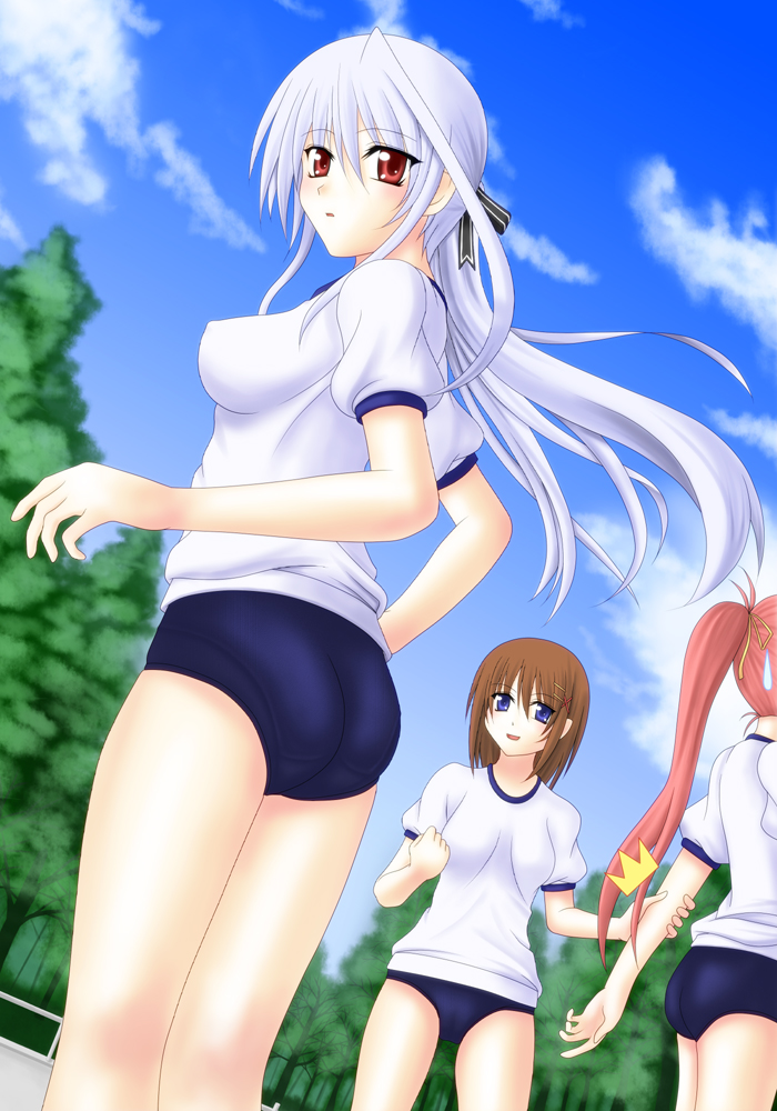 yagami hayate, signum, and reinforce (lyrical nanoha and 2 more) drawn by sooichi_(diabolicemission)