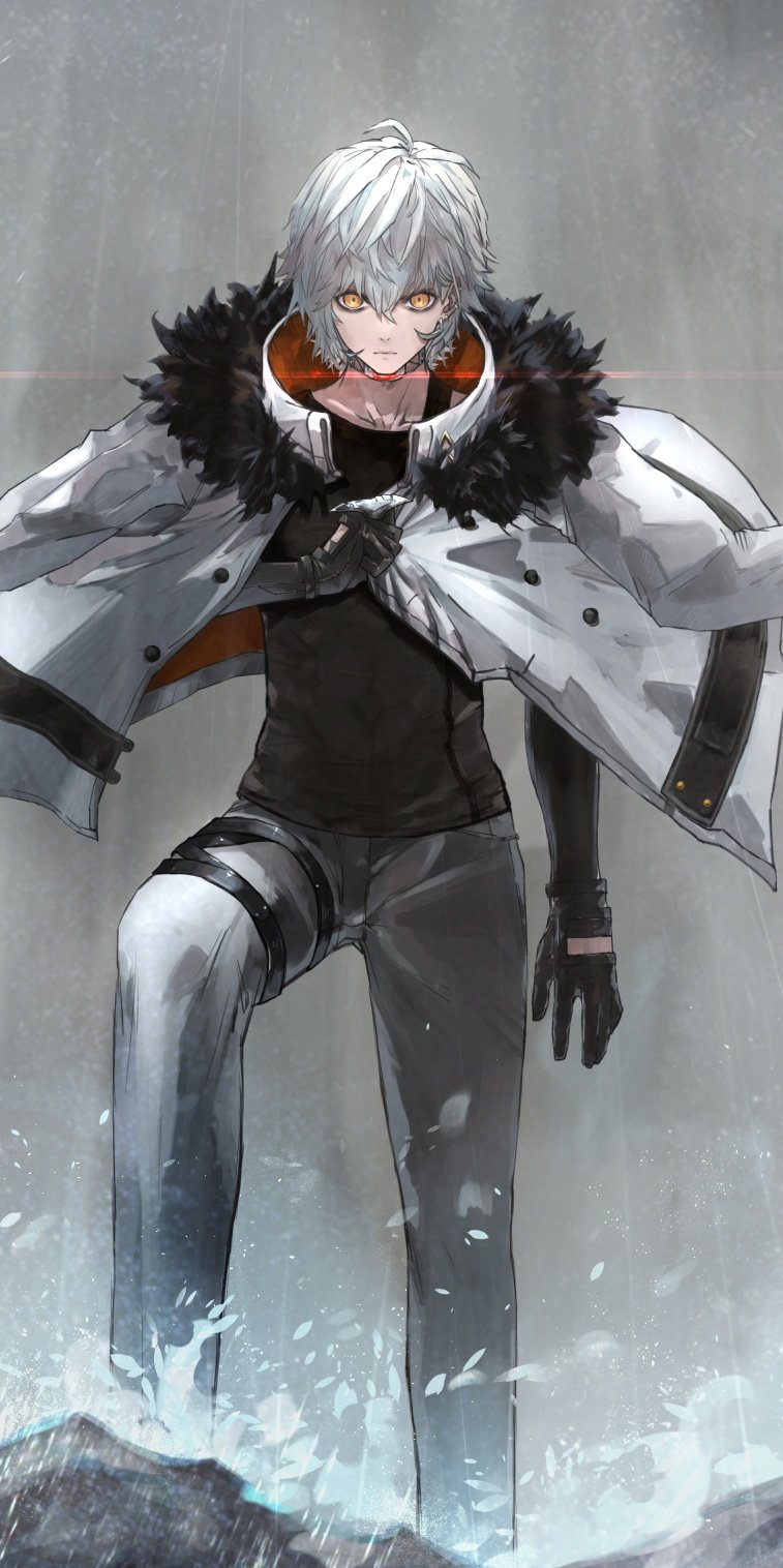 kadoc zemlupus (fate and 1 more) drawn by neko_no_kedama