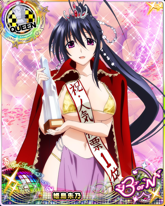 himejima akeno (high school dxd and 1 more)