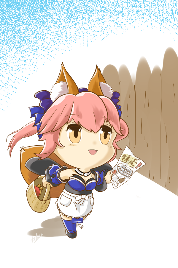 tamamo and tamamo no mae (fate and 2 more) drawn by sorafy