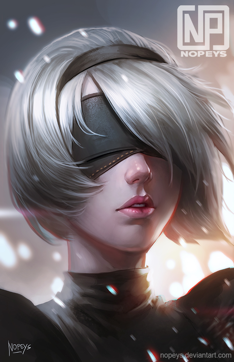 2b (nier and 1 more) drawn by nopeys
