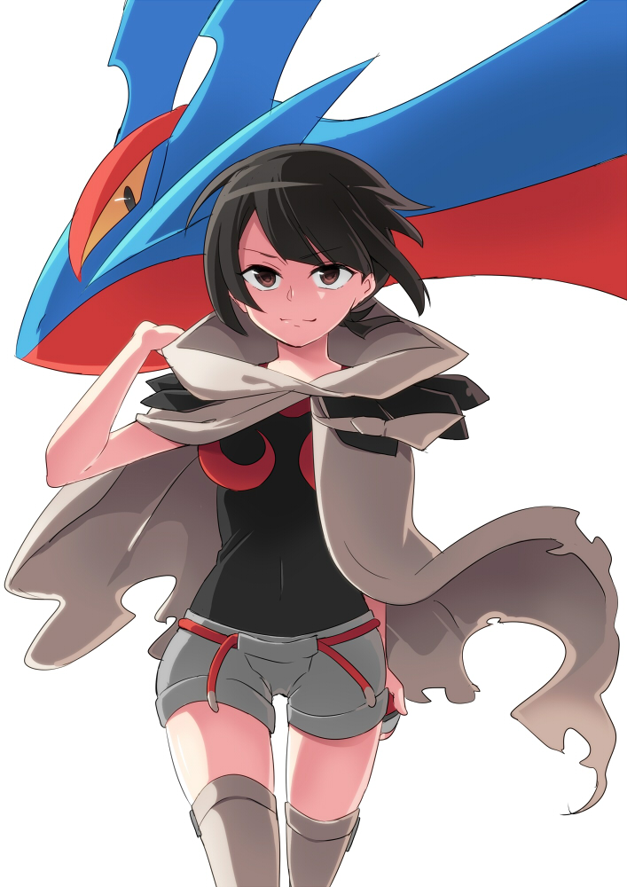 zinnia, salamence, and mega salamence (pokemon and 1 more) drawn by ume_(mms-umeboshi)