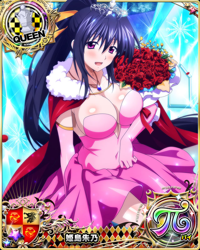 himejima akeno (high school dxd and 1 more)