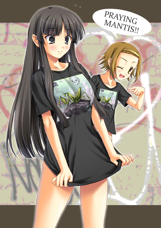 akiyama mio and tainaka ritsu (k-on!) drawn by miyai_sen